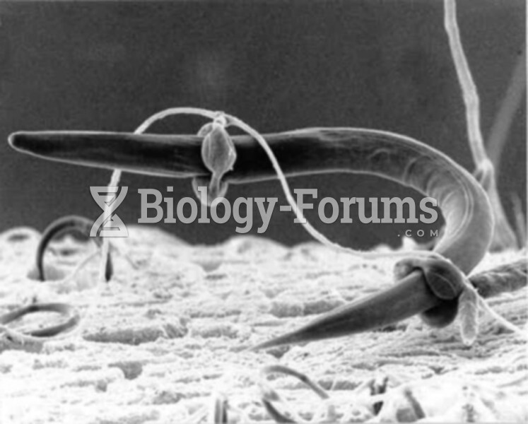 A predatory fungus (Arthrobotrys) that captures and feeds on roundworms