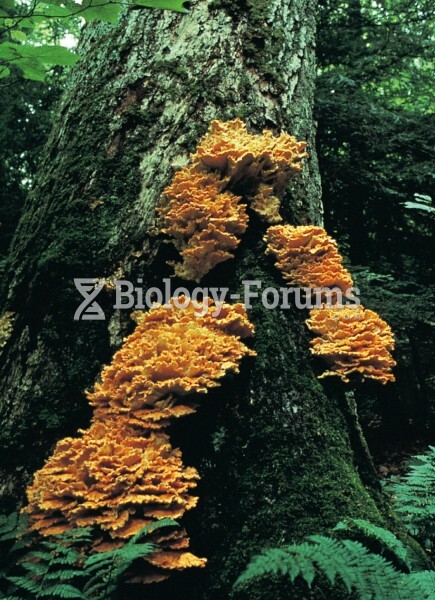 Sulfur Shelf Fungus