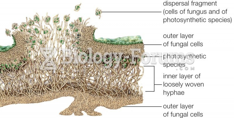 Lichen Structure