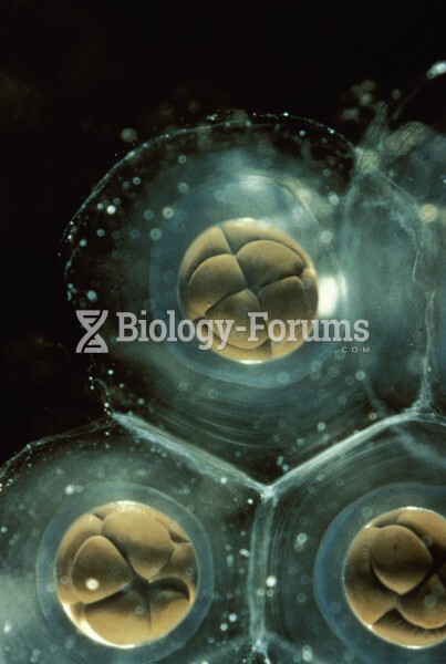 Cell Division in Frog Embryos