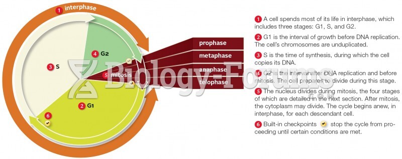 The eukaryotic cell cycle.