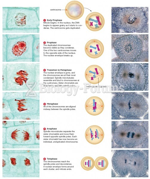 Mitosis (A comparison of plant vs. animal cells)