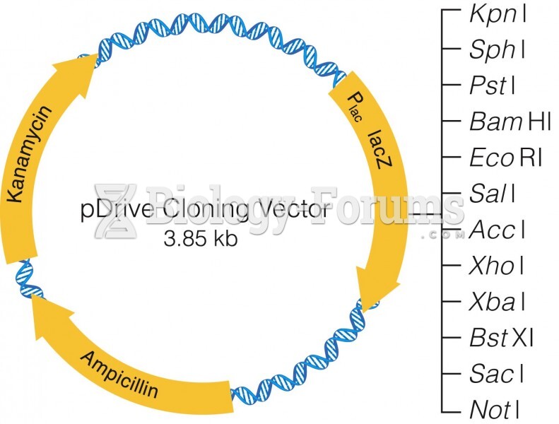 Plasmid cloning vectors