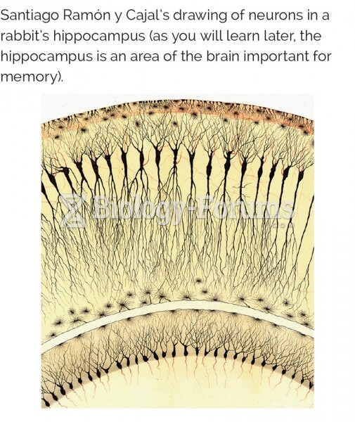 Drawing of neurons in a rabbit's hippocampus