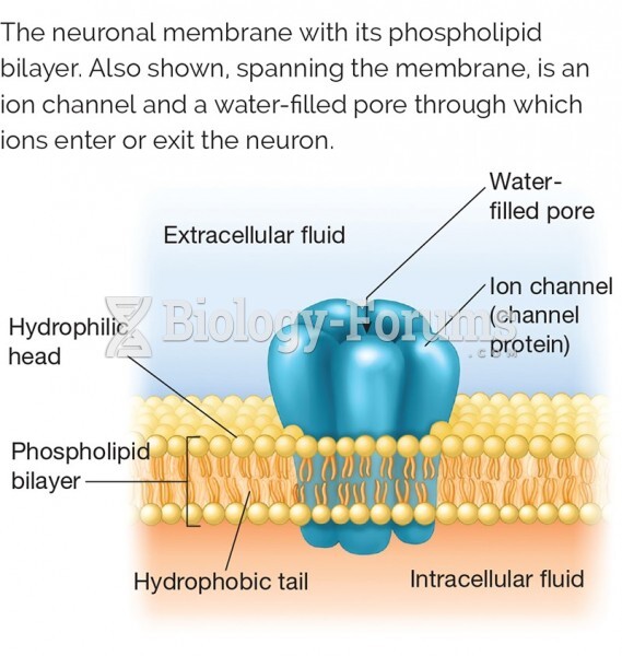 The neuronal membrane with its phospholipid bilayer