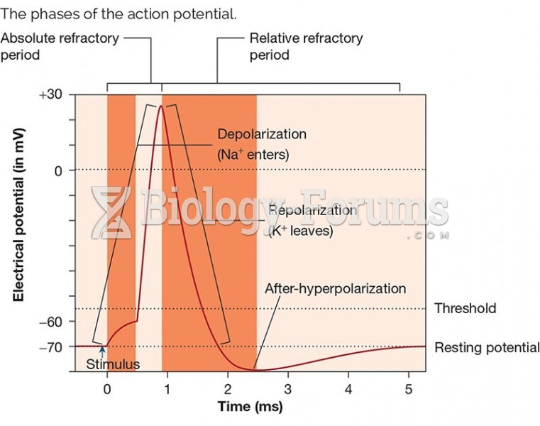 The phases of the action potential