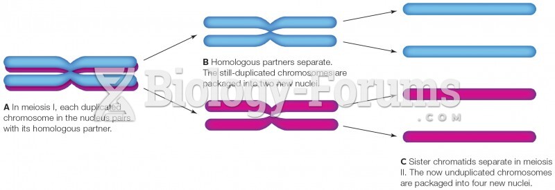 Meiosis Halves the Chromosome Number