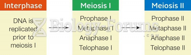 Summary of Steps in Meiosis