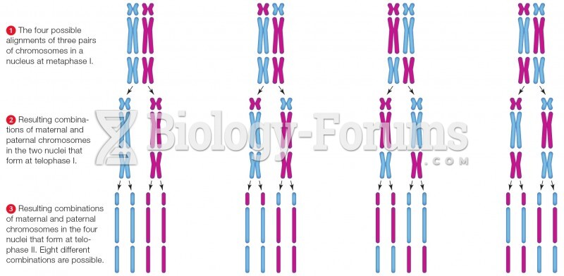 Hypothetical segregation of three pairs of chromosomes in meiosis I