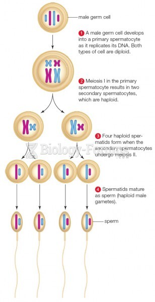 General mechanism of sperm formation in animals