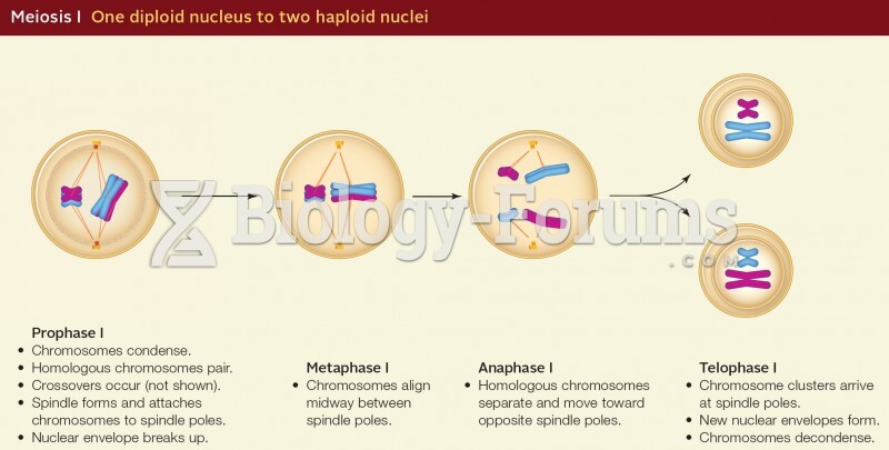 Meiosis I One diploid nucleus to two haploid nuclei