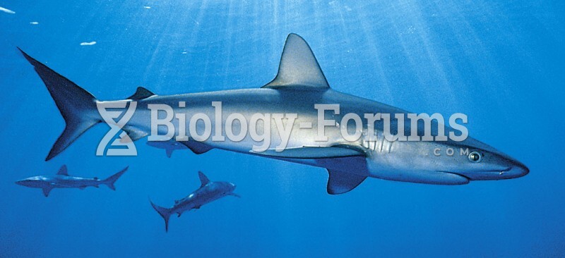Cartilaginous Fishes: Predatory Shark