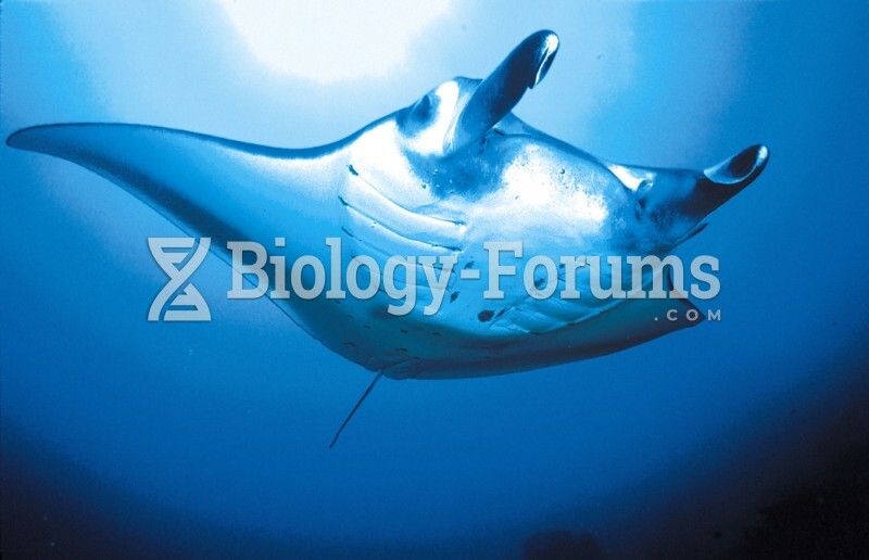 Cartilaginous Fishes: Manta Ray
