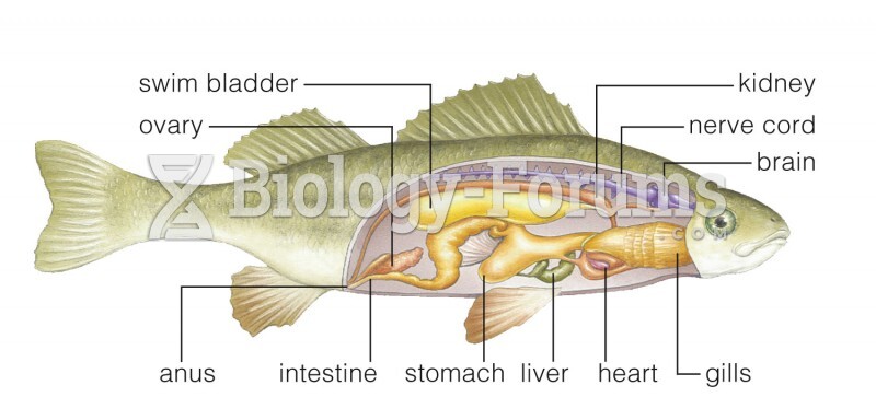 Ray-Finned Fishes: Perch