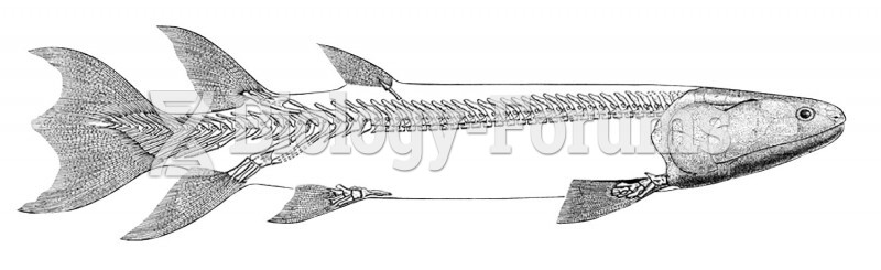 Devonian Lobe-Finned Fish