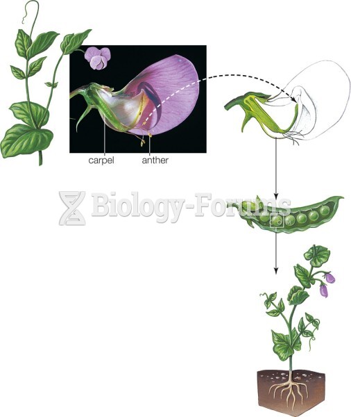 Breeding garden pea plants (Pisum sativum), which can self-fertilize or cross-fertilize.