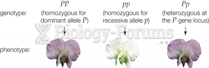 Genotypes Give Rise to Phenotypes