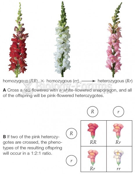 Incomplete dominance in heterozygous (pink) snapdragons