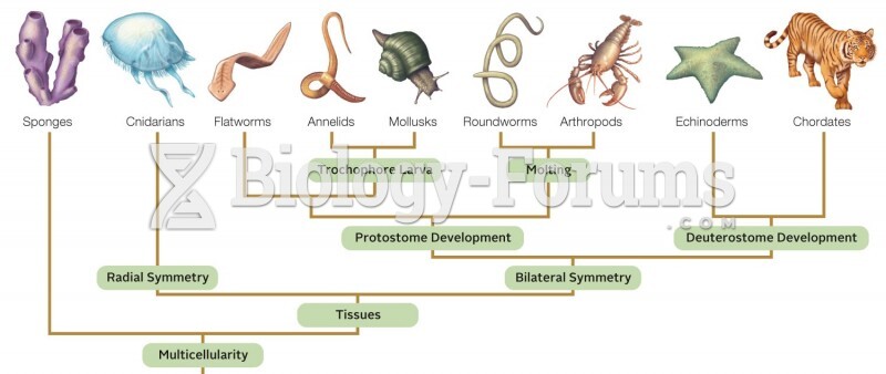 Major Animal Phyla