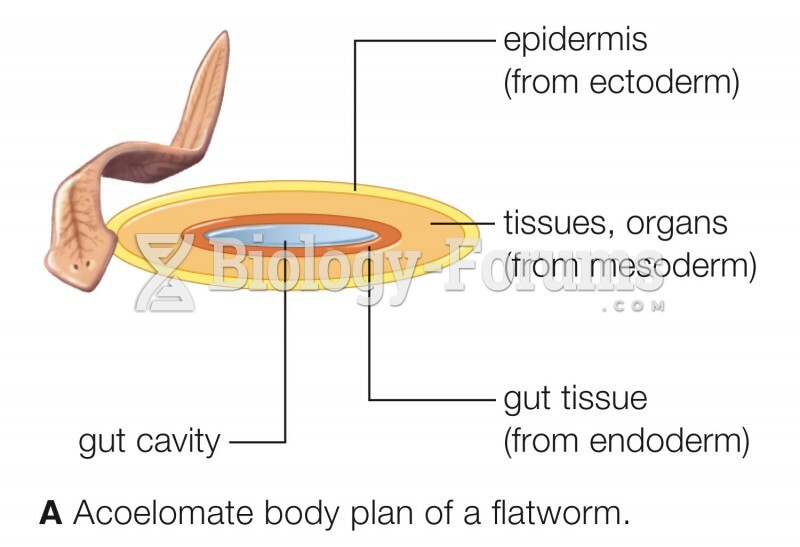 Acoelomate body plan of a flatworm