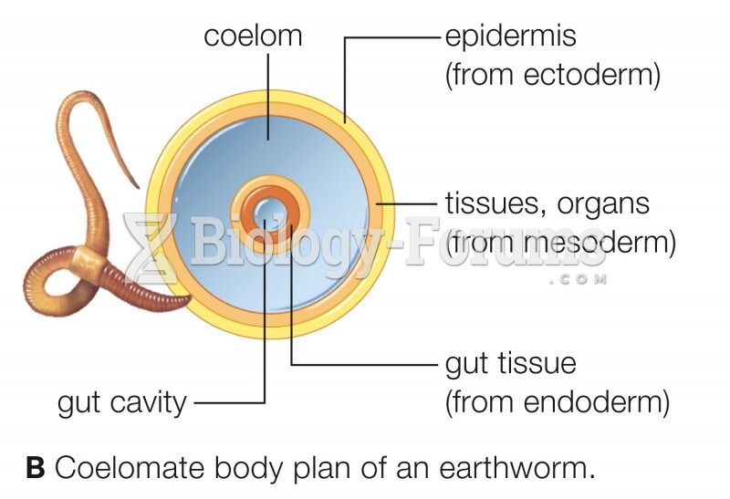 Coelomate body plan of an earthworm