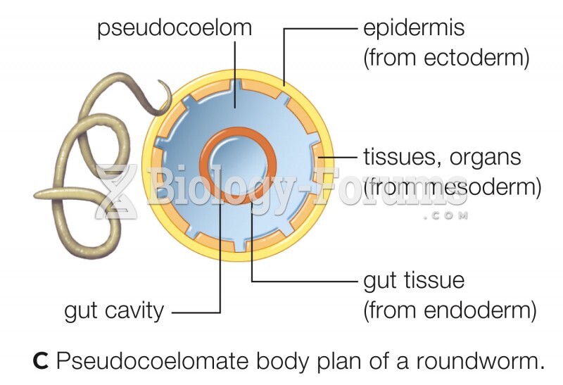 Pseudocoelomate body plan of a roundworm