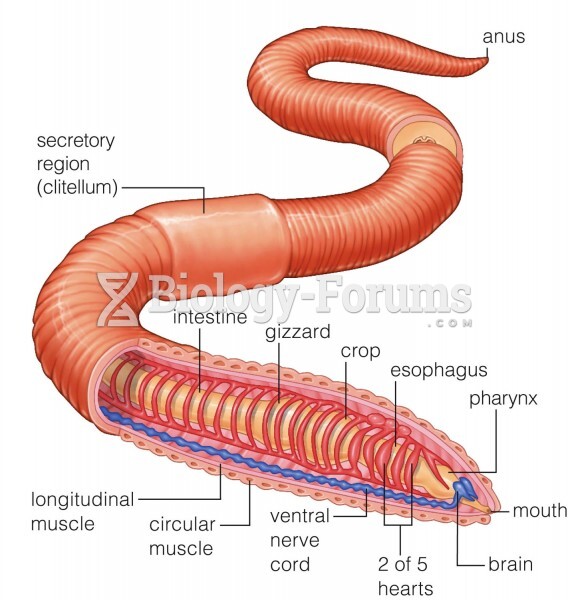 Earthworm anatomy