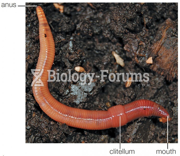 Photo of earthworm on soil