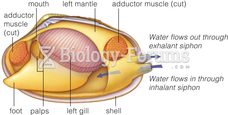 Bivalve Body Plan: Clam