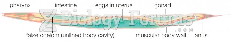 Roundworm Body Plan