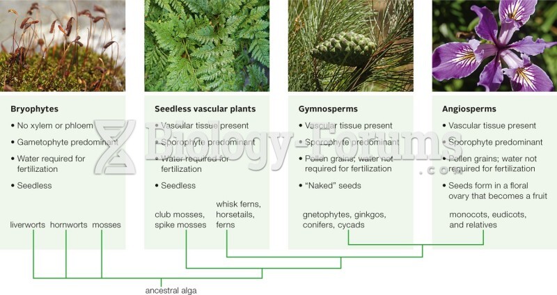 The Major Plant Groups