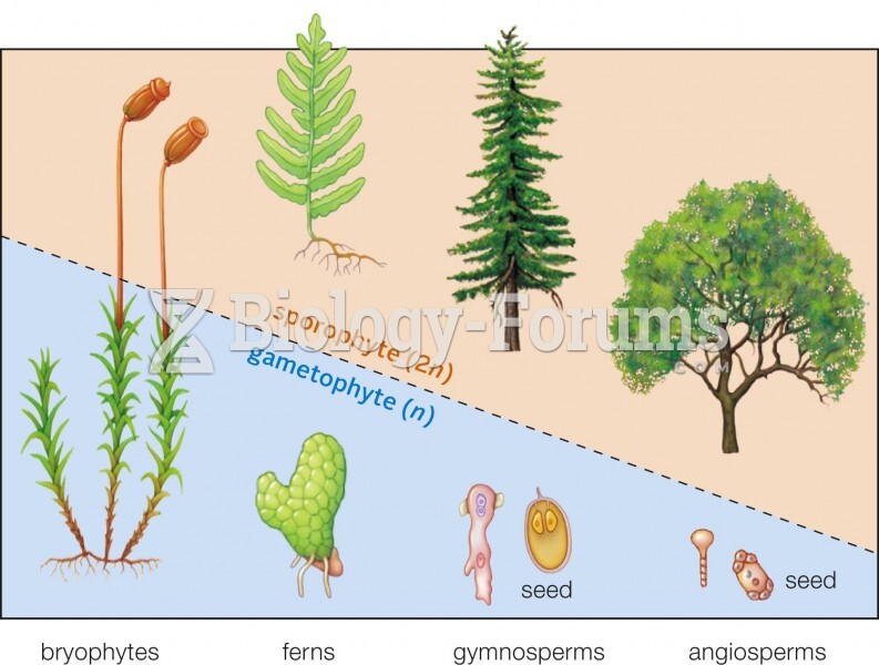 Evolutionary trend in plant life cycles