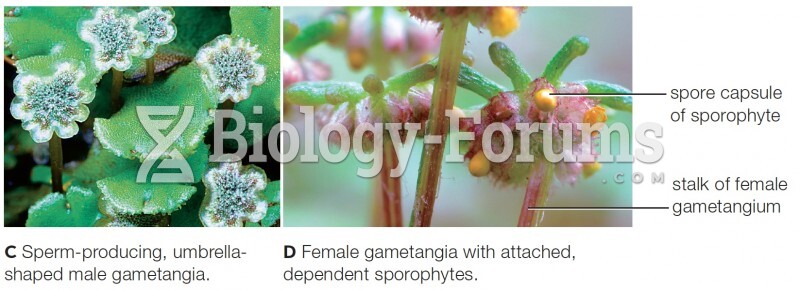 Sexual Reproduction in Marchantia