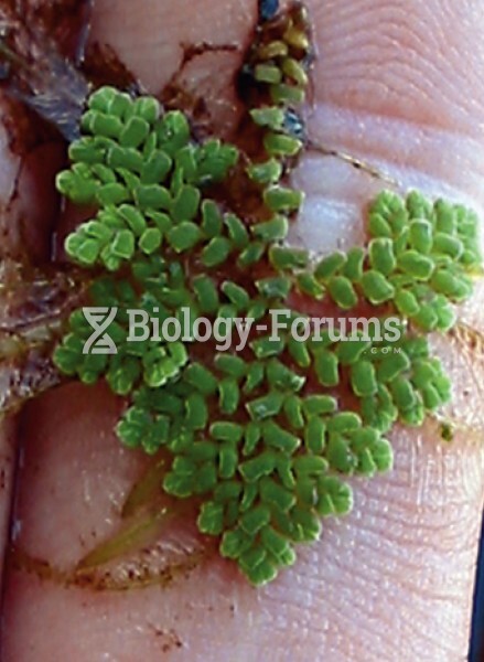 The floating fern Azolla fits on a finger.