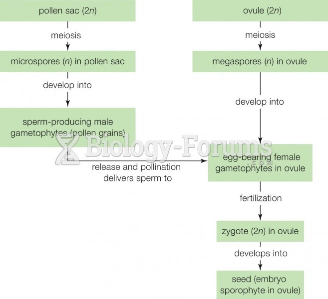 How a seed forms