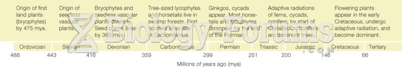 Timeline of Major Events in Plants