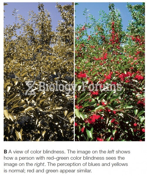 A view of colorblindness 