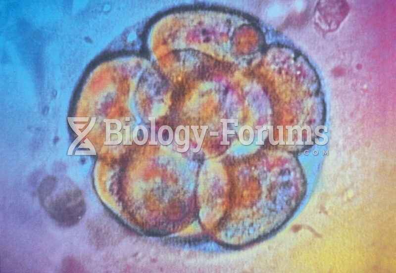 Embryo After 3 Mitotic Divisions