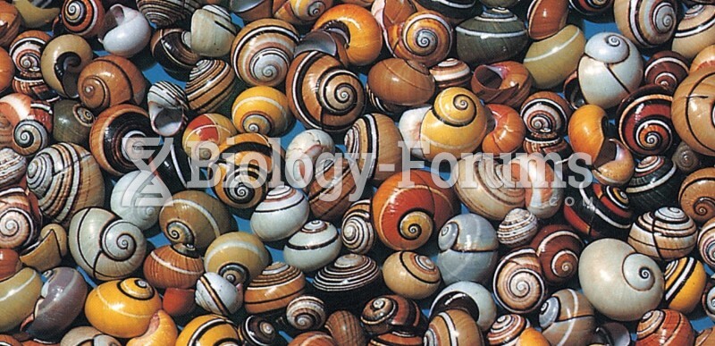 Phenotypic Variations of Snails