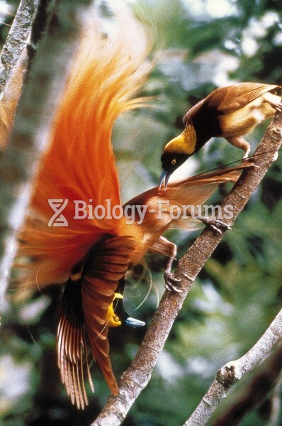 Sexual Selection: Birds of Paradise