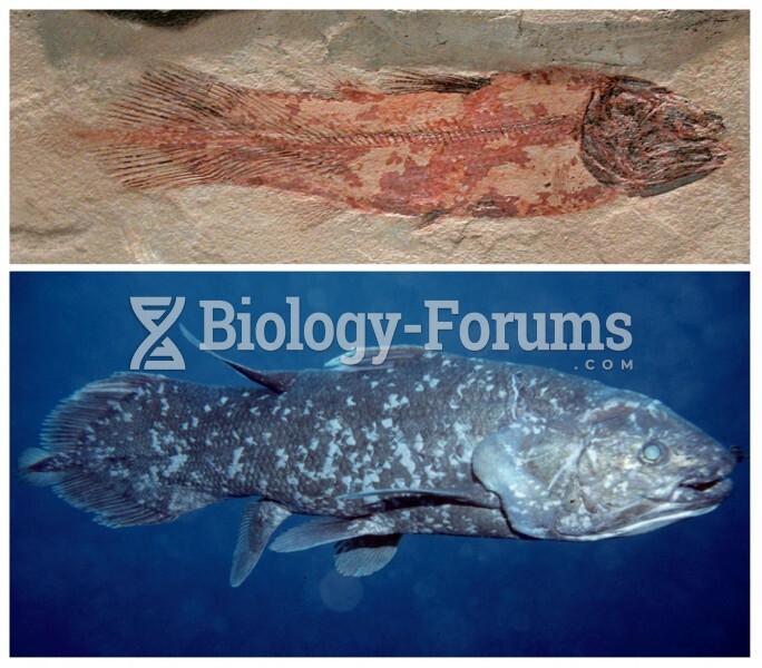 Fossil Coelacanth and Living Coelacanth