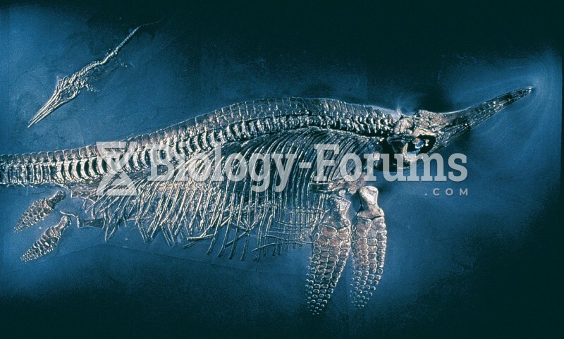 Fossil Skeleton: Ichthyosaur