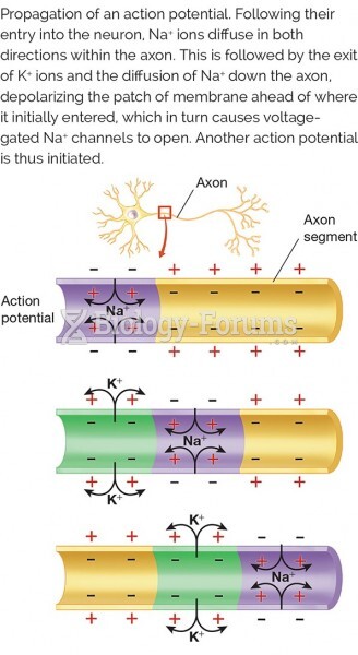 Propagation of an action potential