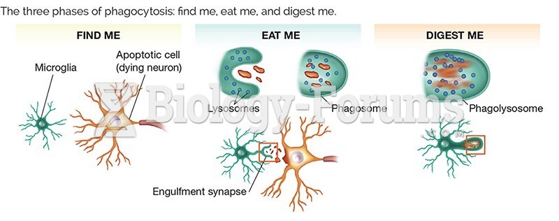 The three phases of phagocytosis