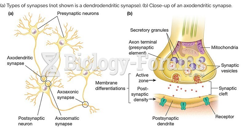 Types of Synapses