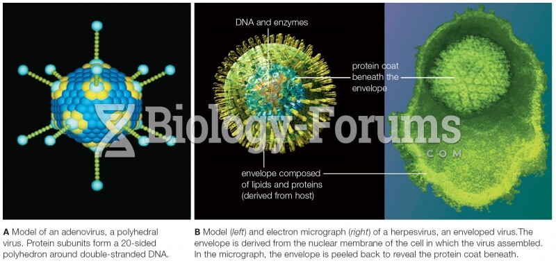 Animal Viruses