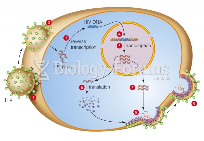 HIV Infection Cycle