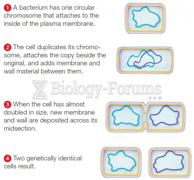 Binary fission, the reproductive mode of bacteria and archaea