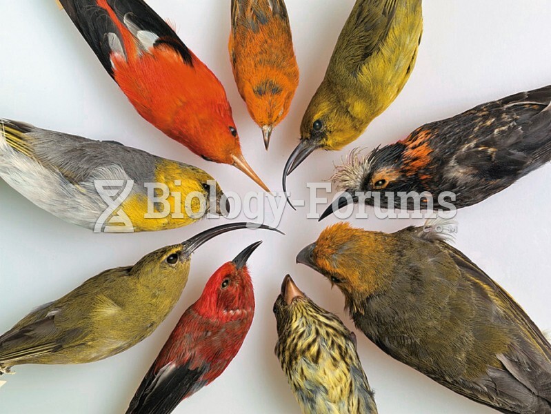 Diversity of Hawaiian Honeycreepers