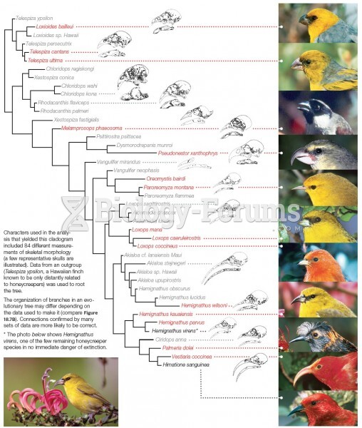 Evolutionary Relationships Among Honeycreepers